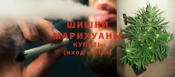 гидропоника Балахна
