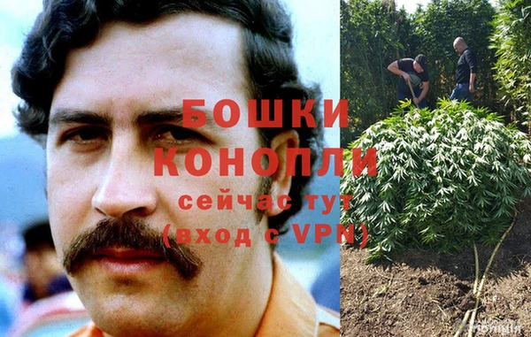 сатива Балабаново