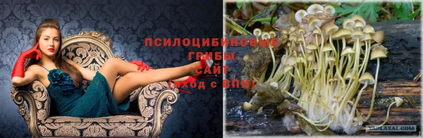 гидропоника Балахна