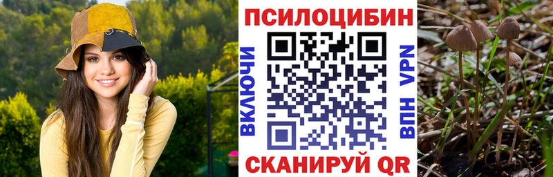 Псилоцибиновые грибы прущие грибы  Игра 